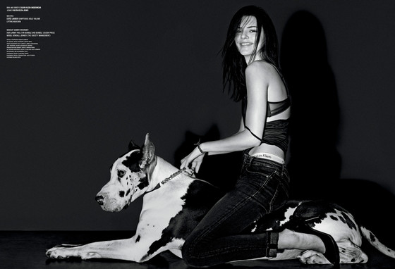 Kendall Jenner, V Magazine Kendall Jenner, V Magazine